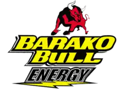 Barako Bull Energy logo