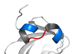 Basic helix–loop–helix