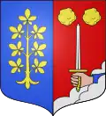 Coat of arms of Féy