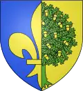 Coat of arms of Mantes-la-Jolie