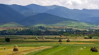 Wooden church in Brădet [ro]