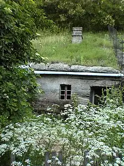 An example of an excavated house