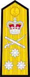 Shoulder board prior to 2001