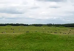 Pair of bowl barrows 405 m east of East Water Drove (Part of Priddy Nine Barrows Cemetery)