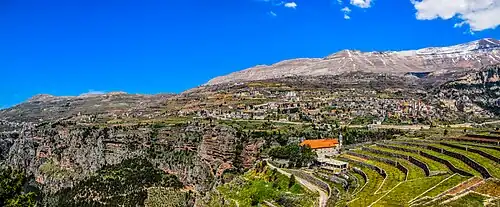 Aerial photograph of a deep cliff village and mountainside village with red-roofed buildings and terraced gardens
