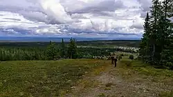 View of the Hedmarksvidda plateau