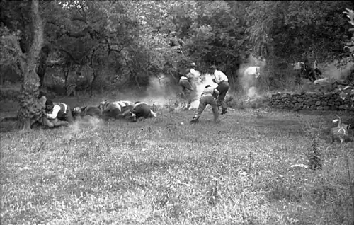 Civilians being shot at by a German firing squad