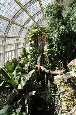Butterflies in the greenhouse