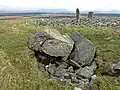 Burial cist on Mochrum Fell