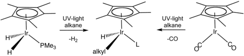 Skeletal formula presentation of a chemical transformation. The initial compounds have a C5H5 ring on their top and an iridium atom in the center, which is bonded to two hydrogen atoms and a P–PH3 group or to two C–O groups. Reaction with alkane under UV light alters those groups.