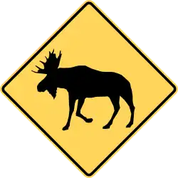 Moose area.