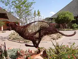 A cheetah sculpture in front of two buildings at the Cheetah Conservation Fund's Field and Research Centre in Otjiwarongo, Namibia
