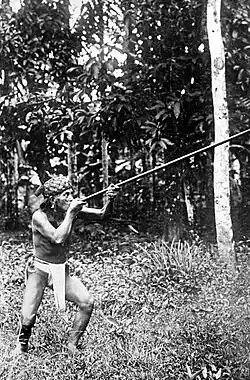 A Dayak man using a blowgun (Dutch East Indies, c.‍1920)