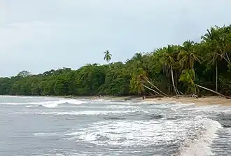 Cahuita National Park.