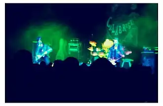 Calabrese live in 2013