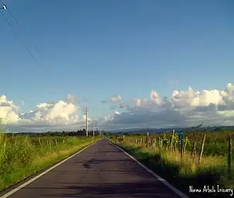 From Palmas Altas towards Barceloneta