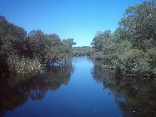Canning River without Azolla in February 2006