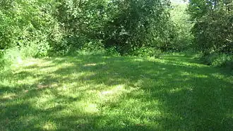 The Carl Potter Mound, a prehistoric Indian mound