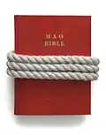 MAO-BIBLE 1987 / book, rope, acrylic paint / 30 × 38 × 8 cm, In the possession of the artist