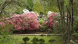 Cataract Gorge in spring