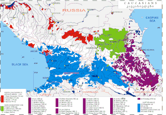 Caucasian languages