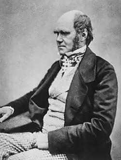 Three quarter length studio photo showing Darwin's characteristic large forehead and bushy eyebrows with deep set eyes, pug nose and mouth set in a determined look. He is bald on top, with dark hair and long side whiskers but no beard or moustache. His jacket is dark, with very wide lapels, and his trousers are a light check pattern. His shirt has an upright wing collar, and his cravat is tucked into his waistcoat which is a light fine checked pattern.