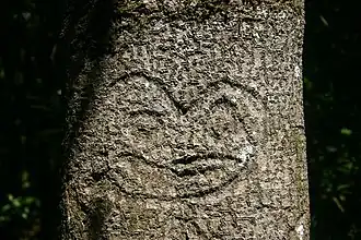 Traditional New Zealand tree carving of a face from the Chatham Islands
