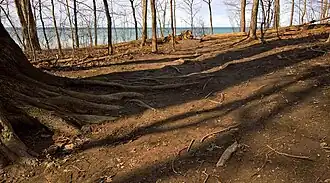Terrain of Chimney Bluffs State Park, March 2016