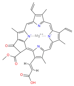 chlorophyll c2