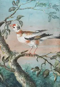 A bird seated on a branch