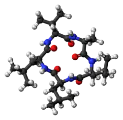 Ball-and-stick model of the chrysosporide molecule