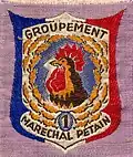 Insignia of CJF 1 - Team 7.