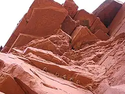 Cliff swallow nests in Utah, US