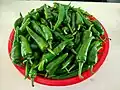 Collection of chillies gathered in a tub