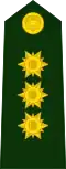 Brigadier general (Colombian National Army)[21]