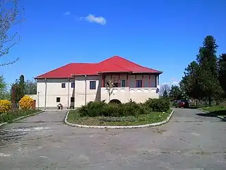 Stan Jianu manor in Preajba