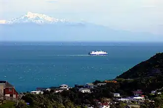 Cook Strait from Southgate