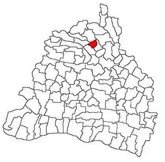 Location in Dolj County