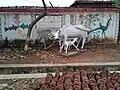 Statue of a cow