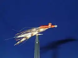 Brown and feather wing