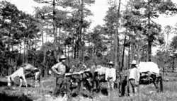 Crossing the Sierras in Chihuahua