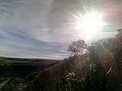 Cuauhtémoc Municipality, Zacatecas, Mexico