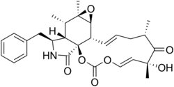Cytochalasin E