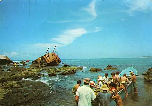 Visitors to the island June 2008