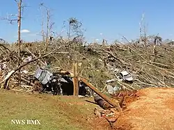 A ravine or pit filled with tree debris and multiple white cars. On the bottom left, it says "NWS BMX".