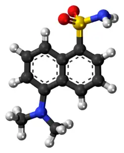 Ball-and-stick model of the dansyl amide molecule