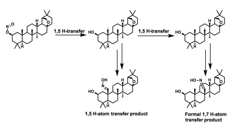 A formal 1,7 Barton in the synthesis of allobetullin derivatives