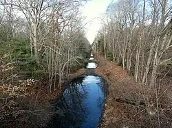 An abandoned railbed, partially covered by puddles, passing through a forest