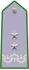 Shoulder insignia of a Dirigente Generale of the Corpo Forestale dello Stato