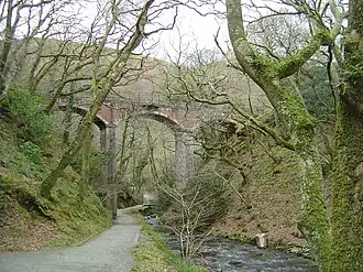 The railway viaduct over Nant Dolgoch